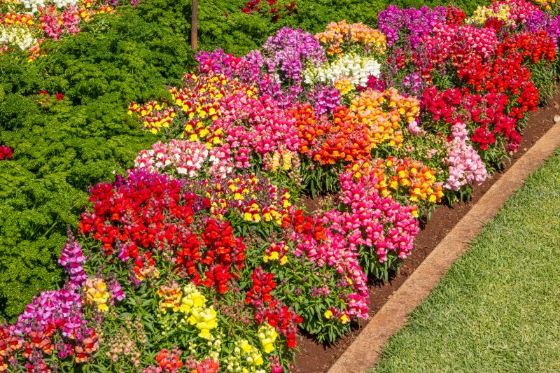 Flower Bed Planting