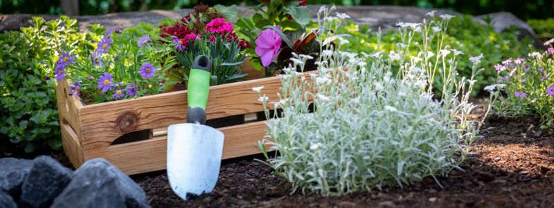 Planting Season in Tennessee