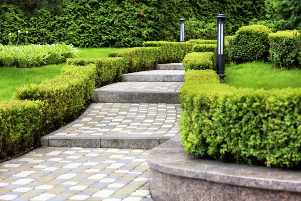Backyard Remodeling in Franklin