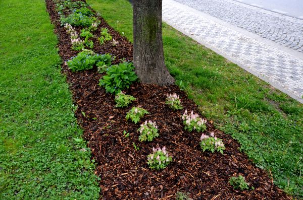Mulch Replacement Service in Franklin