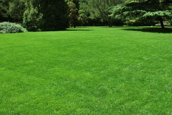 Lawn Landscaping in Franklin