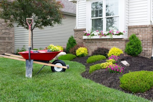 Landscape Maintenance Service in Franklin