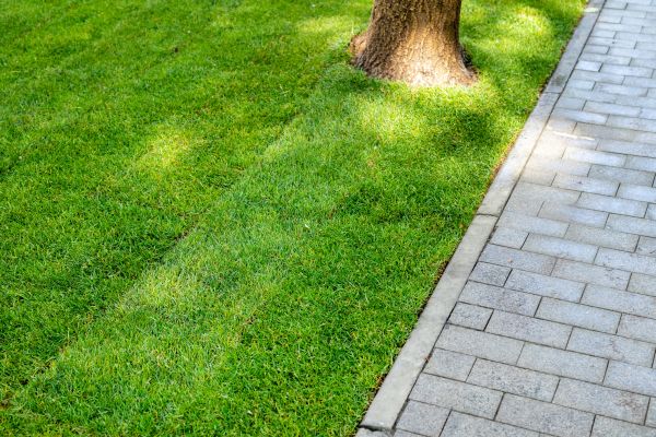 Border Stone Installation in Franklin