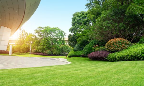 Business Landscape Design in Franklin