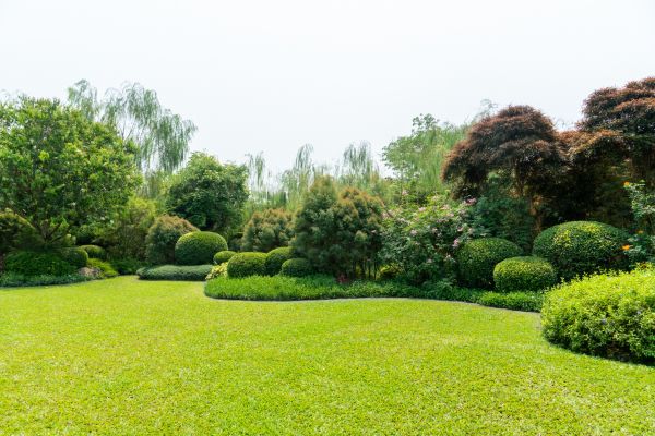 Tree Landscaping in Franklin