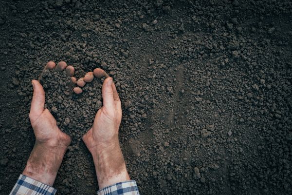 Soil Installation in Franklin
