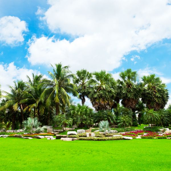 Tropical Landscaping in Franklin