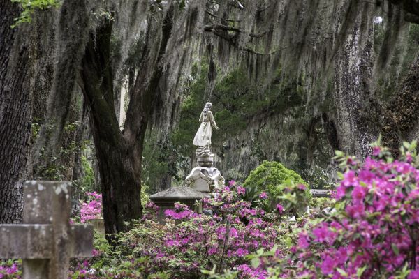 Cemetery Landscaping in Franklin