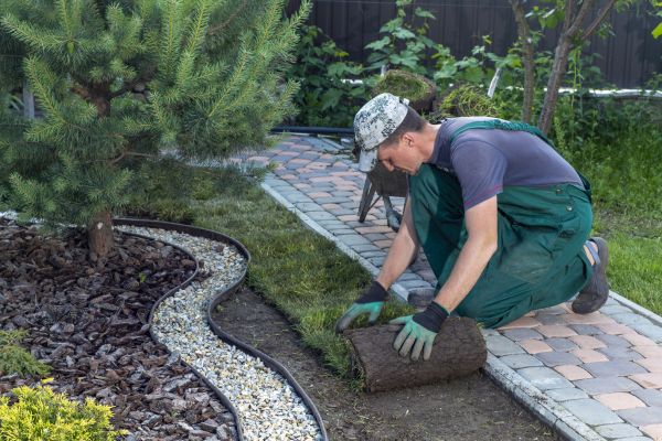 Landscaping Modification in Franklin