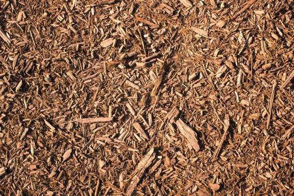 Wood Chips Removal in Franklin