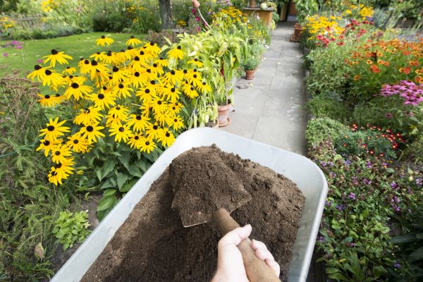 Topsoil Replacement in Franklin