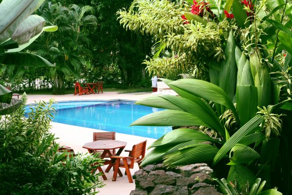 Pool Area Landscaping in Franklin
