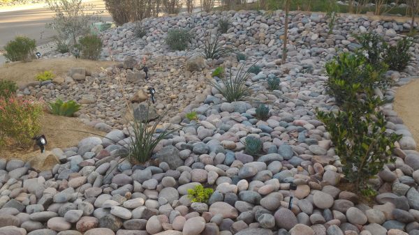 Yard Xeriscaping in Franklin