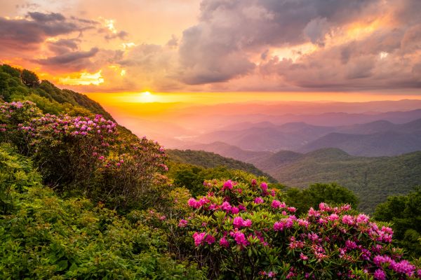 Hill Landscaping in Franklin