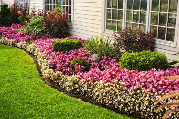 House Landscaping in Franklin