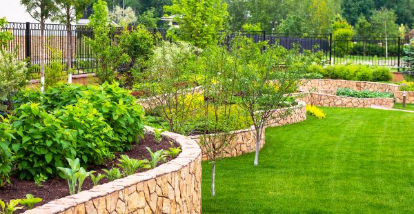 Yard Makeover Service in Franklin