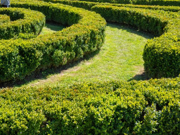 Bush Landscaping in Franklin
