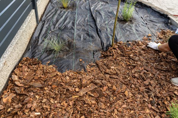 Pine Bark Spreading in Franklin
