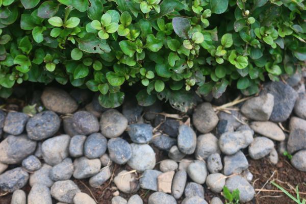 River Stone Installation in Franklin