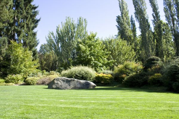 Yard Enlargement in Franklin