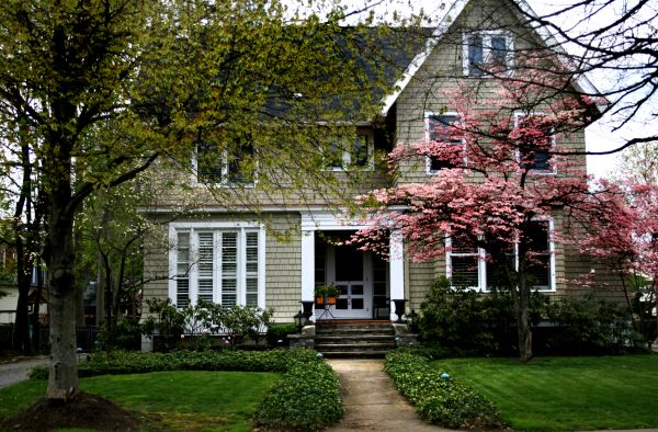 Ornamental Tree Planting in Franklin