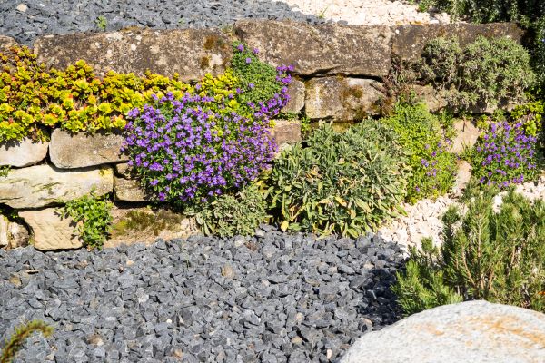Landscaping Rocks Installation in Franklin