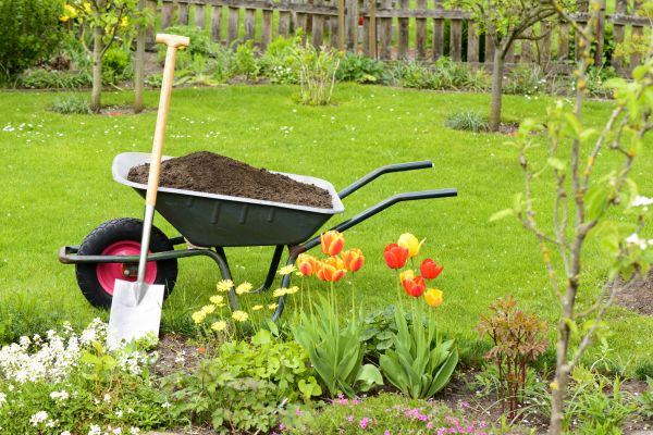 Spring Yard Renovation in Franklin