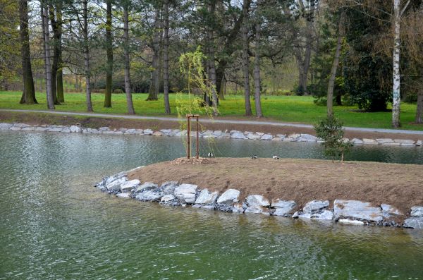 Pond Landscaping Service in Franklin