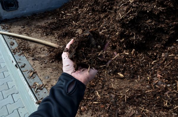 Condo Mulching in Franklin